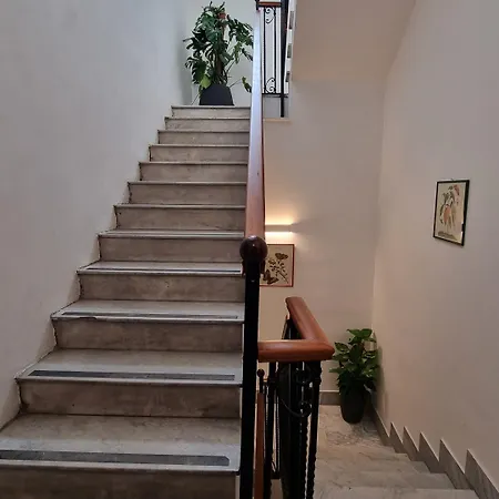 Arcovito 36